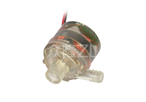 Brushless DC Pump